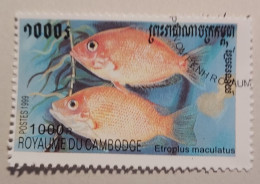 Cambodge YT 1670 Oblitéré Poisson - Camboya