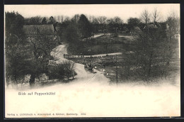 AK Hamburg-Poppenbüttel, Teilansicht Mit Kutscher Auf Brücke  - Wandsbek