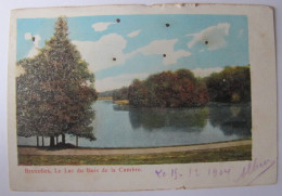 BELGIQUE - BRUXELLES - Bois De La Cambre - Le Lac - 1904 - Forêts, Parcs, Jardins