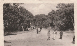 ILE D'OLERON ENVIRONS DE SAINT TROJAN VERT BOIS 1947 CPSM 9X14 TBE - Ile D'Oléron