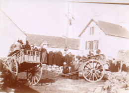 Photographie Photo Vintage Snapshot Attelage Charrette Carriole Bretagne - Lieux