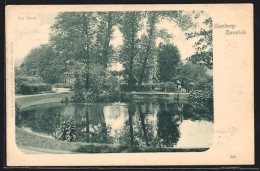 AK Hamburg-Barmbek, Am Markt, Teich  - Noord