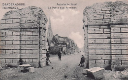 DENDERMONDE - TERMONDE - La Porte Aux Pommes - Appelsche Poort - Dendermonde