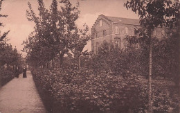 ESTAIMPUIS: Pensionnat St. Jean-Baptiste De La Salle - Les Jardins , Allée Saint Joseph - Estaimpuis