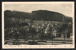 AK Bad Liebenzell, Ortsansicht Mit Güterzug  - Sonstige & Ohne Zuordnung