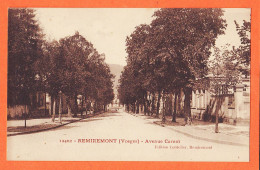 05775 / ( Etat Parfait ) REMIREMONT 88-Vosges Avenue CARNOT 1910s Edition CORDELIER 12402 - Remiremont
