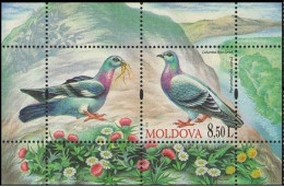 2010 708 Moldova Birds Columba Livia MNH - Moldavie