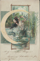Cs205 Cartolina Art Deco  Donnina Woman Cupido Lady Illustratore Artist 1903 - Autres & Non Classés