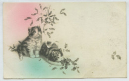 Lot 10 Cartes Fantaisie, Chat (lt9) - Cats