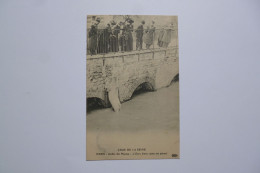 PARIS  -  Crue De La Seine  -  Jardin Des Plantes  -  L'Ours Blanc  - - De Overstroming Van 1910