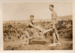 Photographie Photo Vintage Snapshot Drôle Gag Blague Funny Brouette - Autres & Non Classés