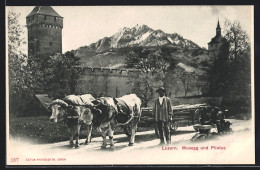 AK Luzern, Musegg Und Pilatus  - Lucerne