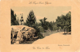 Le Fayet Saint Gervais - Un Coin Du Parc - Sonstige & Ohne Zuordnung