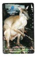 Kangourou Kanggurd Ibian  Télécarte Telkom Indonésie  Phonecard (K 364) - Indonesien