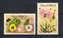 MAROC N°  687 + 688    NEUFS SANS CHARNIERE  COTE 4.00€    FLEUR FLORE  VOIR DESCRIPTION - Marocco (1956-...)