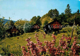 12684116 Ponte Cremenaga Bosco Della Bella Feriendorf Ponte Cremenaga - Sonstige & Ohne Zuordnung