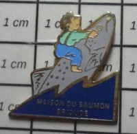 1310 Pin's Pins / Beau Et Rare : VILLES / BRIOUDE MAISON DU SAUMON POISSOn Par STADIUM - Villes
