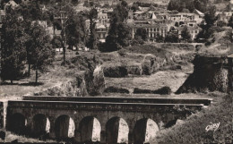 33 BLAYE LES DOUVES ET LE PONT DE LA CITADELLE - Blaye