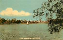 England Petersfield - On The Lake - Andere & Zonder Classificatie