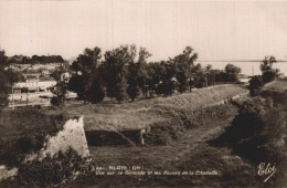 33 BLAYE VUE SUR LA GIRONDE ET LES DOUVES DE LA CITADELLE - Blaye