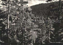 11637461 Flims Waldhaus Caumasee Flims Waldhaus - Sonstige & Ohne Zuordnung