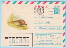 USSR 1980.0430. Pheasant. Prestamped Cover, Used - 1980-91