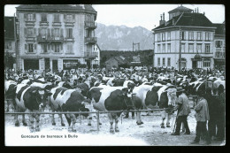 15034 - SUISSE -  BULLE - Concours De Taureaux - Bulle