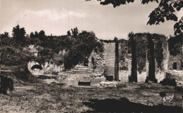 33 BLAYE VUE SUR LA GIRONDE ET LES DOUVES DE LA CITADELLE - Blaye