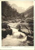 11637261 Graubuenden Kanton Partie Im Schweizer Nationalpark Chur - Altri & Non Classificati