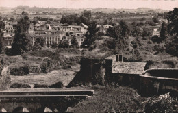 33 BLAYE LES DOUVES ET LE PONT DE LA CITADELLE - Blaye