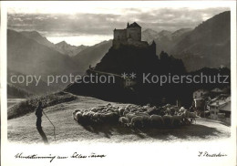 11637190 Schuls GR Schloss Tarasp Schaefer Mit Herde Scuol - Autres & Non Classés