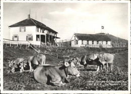 11637160 Hundwil Gasthaus Hundwilerhoehe Hundwil - Sonstige & Ohne Zuordnung