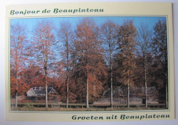 BELGIQUE - LUXEMBOURG - SAINTE-ODE - TILLET - Domaine De Beauplateau - Sainte-Ode