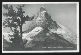 15040 - SUISSE -  MONT CERVIN - Matterhorn - Altri & Non Classificati