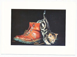 CPSM / CPM 10.5 X 15  Chaussure  Chat (44) Chaton  Photo Sunset-Lacz - Cats