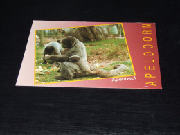 75620-      APENHEUL, BERG EN BOS, APELDOORN -  / APEN / APES / AFFEN / SINGES / SIMIOS - Apen