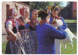 CPSM 10.5 X 15 Allemagne (142) Sorbische Mädchen Mit Volksmusikanten - Schleife  Jeunes Filles Sorabes Et Musiciens - Hoyerswerda