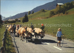 11636820 Toggenburg Alpaufzug Churfirsten - Altri & Non Classificati