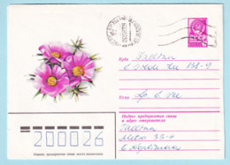 USSR 1980.1118. Purslane (Portulaca). Prestamped Cover, Used - 1980-91