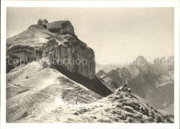 11636788 Hoher Kasten Mit Staubern Hoher Kasten - Sonstige & Ohne Zuordnung