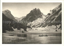 11636783 Saentis AR Bootspartie Am Saemtisersee Mit Hundstein Saentis AR - Autres & Non Classés