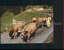 11636750 Schwaegalp AR Almabtrieb Schwaegalp - Sonstige & Ohne Zuordnung