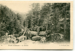 2A-CORSE  -  Foret D'AITONE - Le Moulin - Sonstige & Ohne Zuordnung