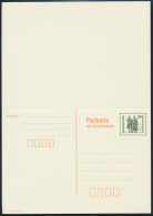 DDR Ganzsache P 108 Goethe Schiller Frage/Antwort Ungefaltet Tadellos Kat 5,00 - Postales - Usados