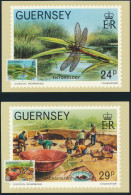 Guernsey 6 Künstlerkarten 100 Jahre La Societe Guernesiaise Ersttagsstempel - Guernsey
