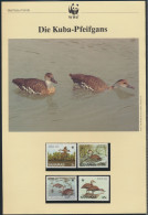 WWF Bahamas 672-675 Tiere Vögel Pfeifgans Kpl. Kapitel Bestehend - Bahamas (1973-...)