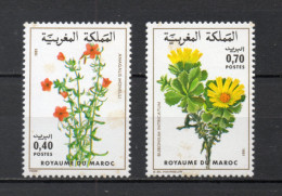 MAROC N°  880 + 881    NEUFS SANS CHARNIERE  COTE 3.50€    FLEUR FLORE VOIR DESCRIPTION - Maroc (1956-...)