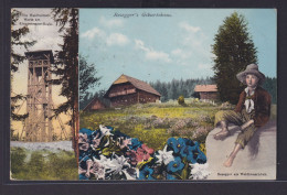 Ansichtskarte St. Pölten N. Wien Rosseger Schriftsteller Österreich Geburtshaus - Autres & Non Classés