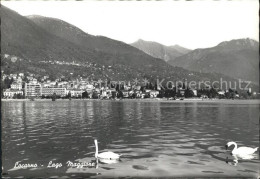 11636658 Locarno TI Lago Maggiore  - Otros & Sin Clasificación