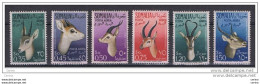 SOMALIA  AFIS:  1955  P.A.  GAZZELLE  LOCALI  -  S. CPL. 6  VAL. N. -  SASS. 26/31 - Somalia (AFIS)